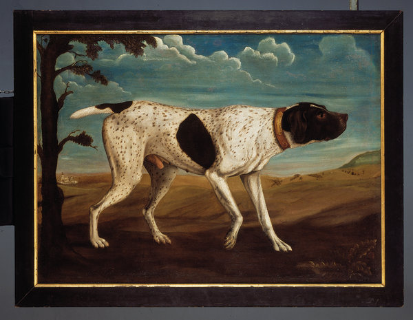 A Fine English Portrait of a Pointer Dog , His Collar Inscribed 'Thynne Worthy - Chilton Candover 1749'